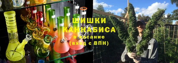 прущие грибы Ладушкин