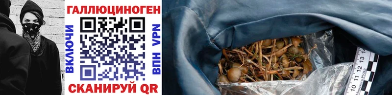 дарнет шоп  Топки  Галлюциногенные грибы мухоморы 