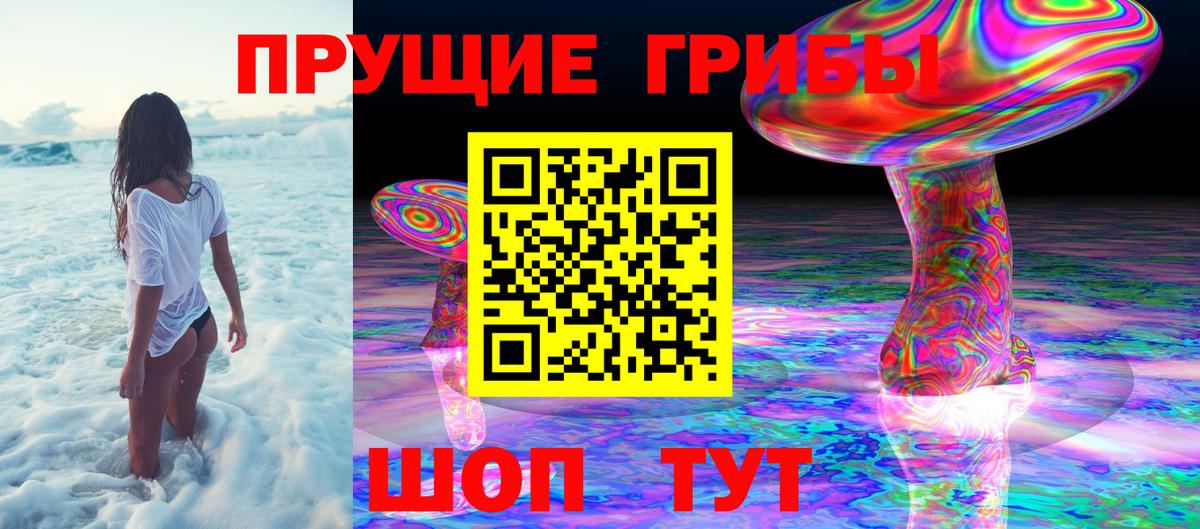 Псилоцибиновые грибы Cubensis  Топки 