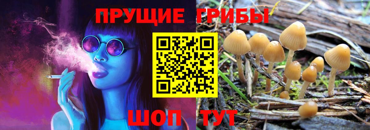 Псилоцибиновые грибы ЛСД  Псилоцибиновые грибы мицелий  Вход с VPN  Топки 