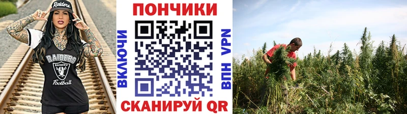 как найти Топки Бошки Шишки White Widow